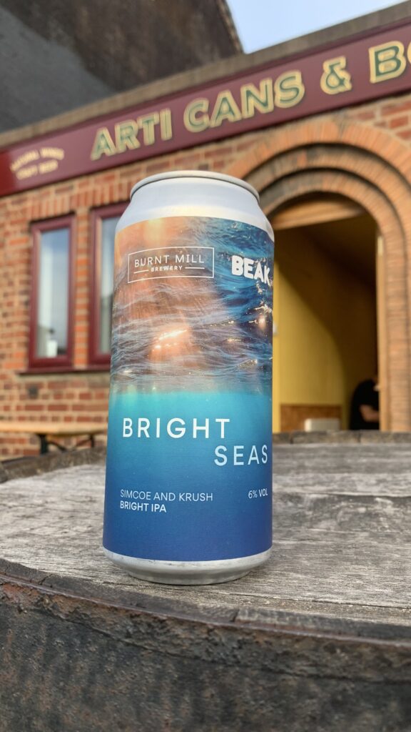 Burnt Mill & BEAK : Bright Seas